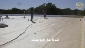 شركة عزل فوم بتبوك